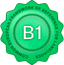 Level B1 ― Intermediate Level