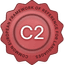 Level C2 ― Proficient Level